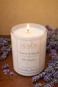 Vela Aromática de Lavanda 170gr - Aroma Relajante para Descanso y Bienestar